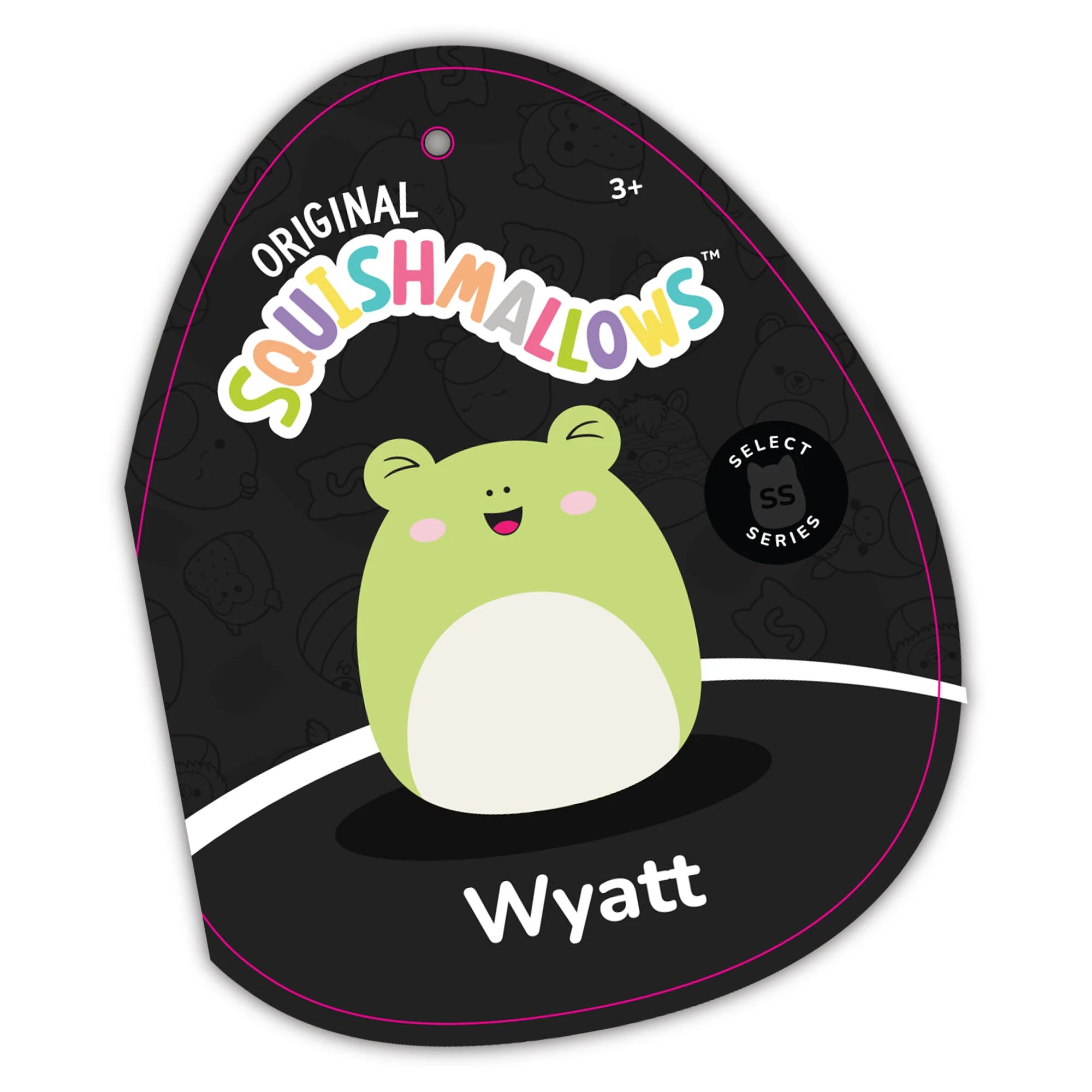 Squishmallows – Ausgewählte Serie Wyatt der Frosch